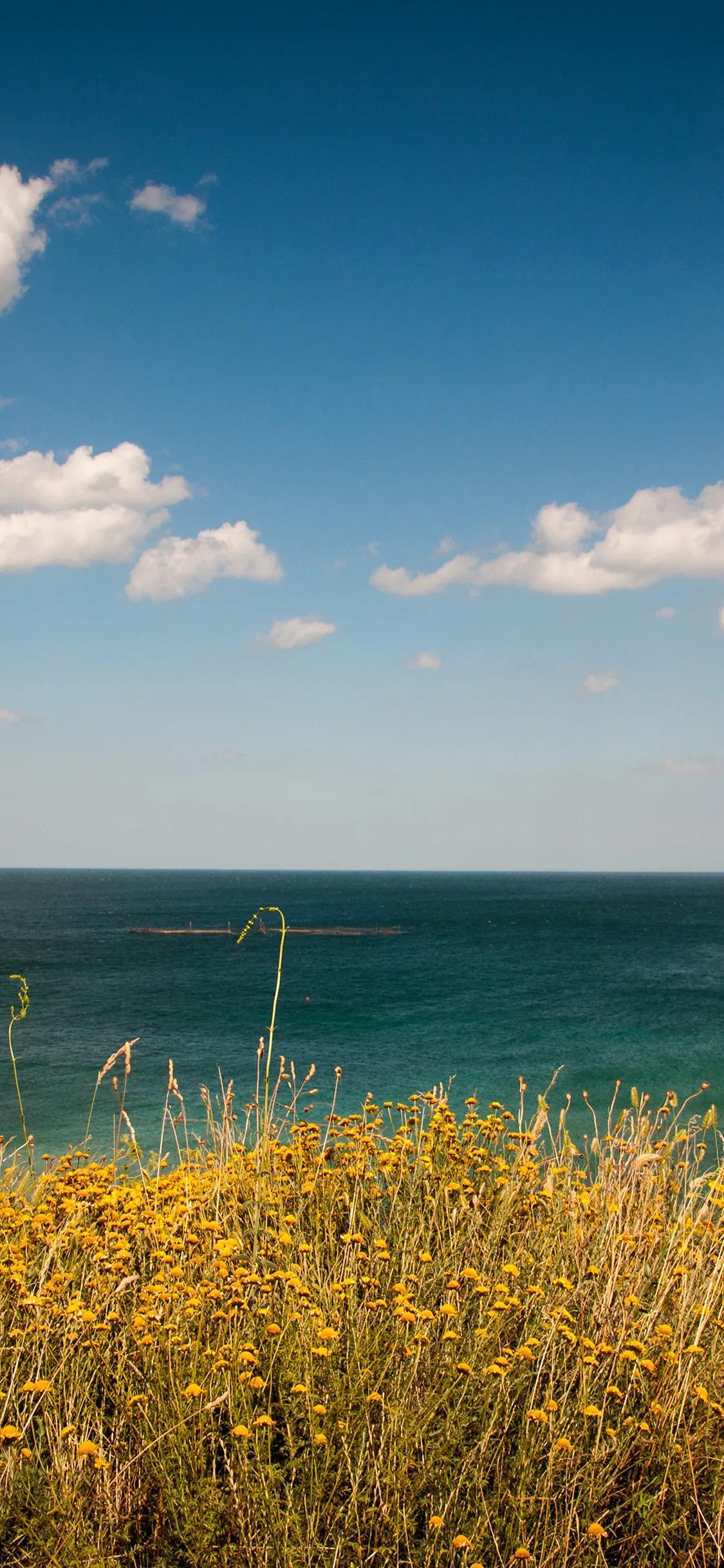 苹果14最新壁纸,你们要的壁纸来了