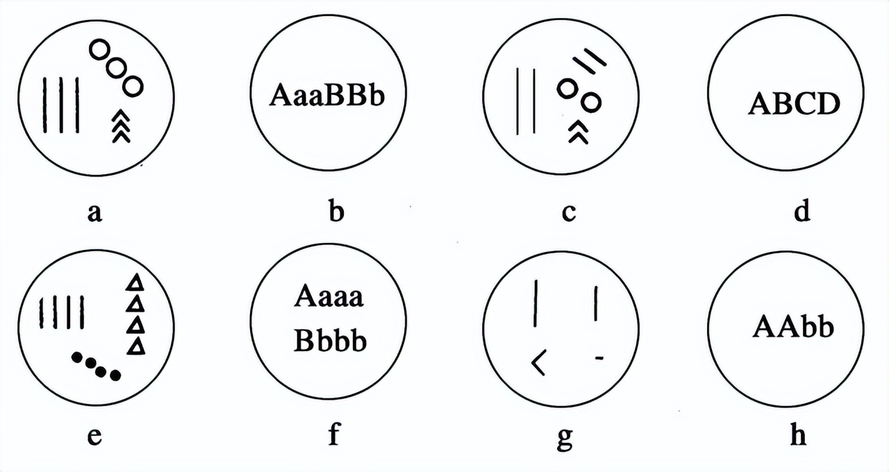 高中生物变异和育种知识点,高中生物变异育种进化思维导图