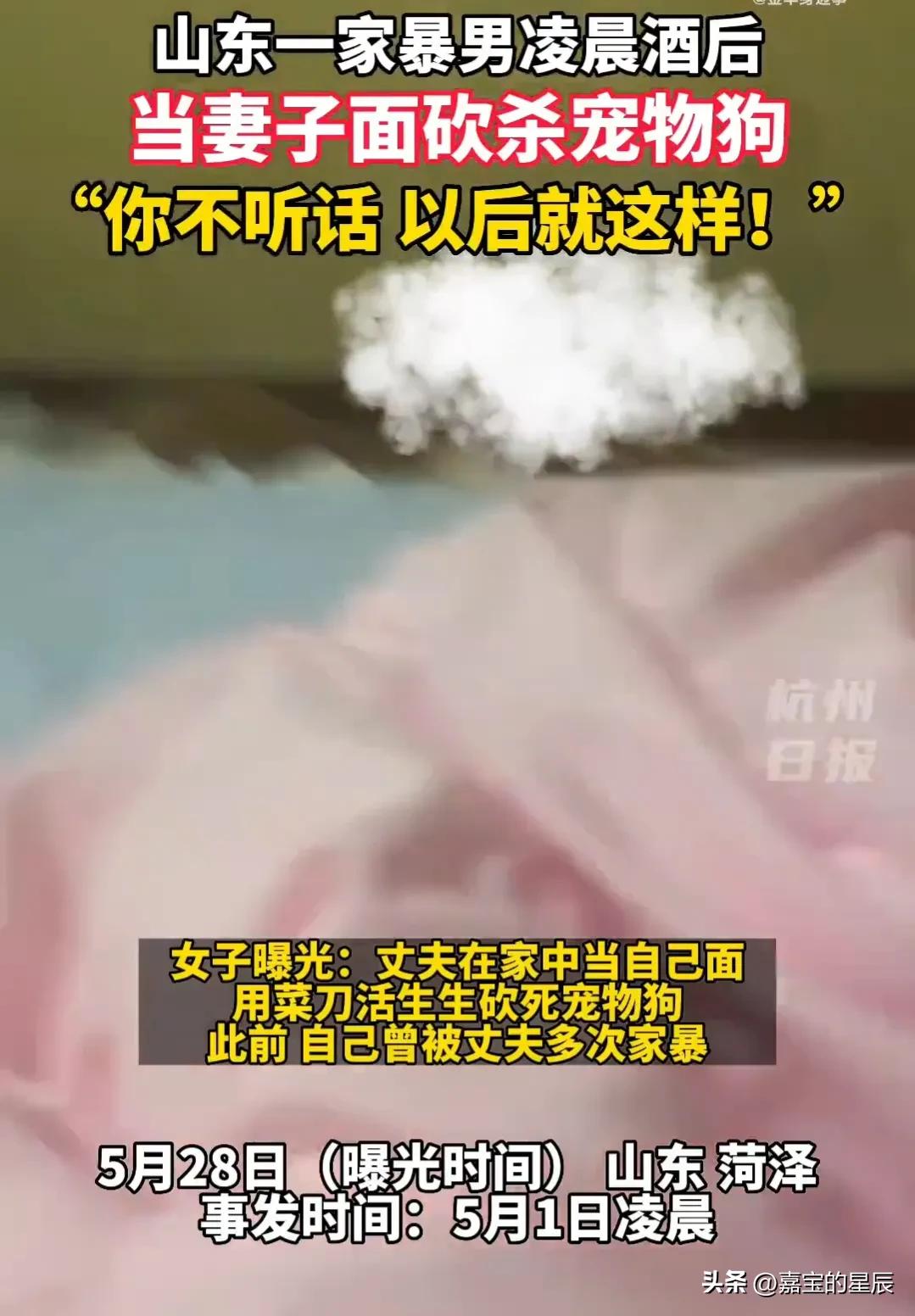 山东菏泽女子爆丈夫家暴柯基狗被当面砍死视频,家属领导要求撤销