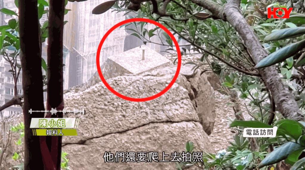 缃戠孩鎵撳崱鎮礀,缃戠孩鎵撳崱妤奸《澶╁彴