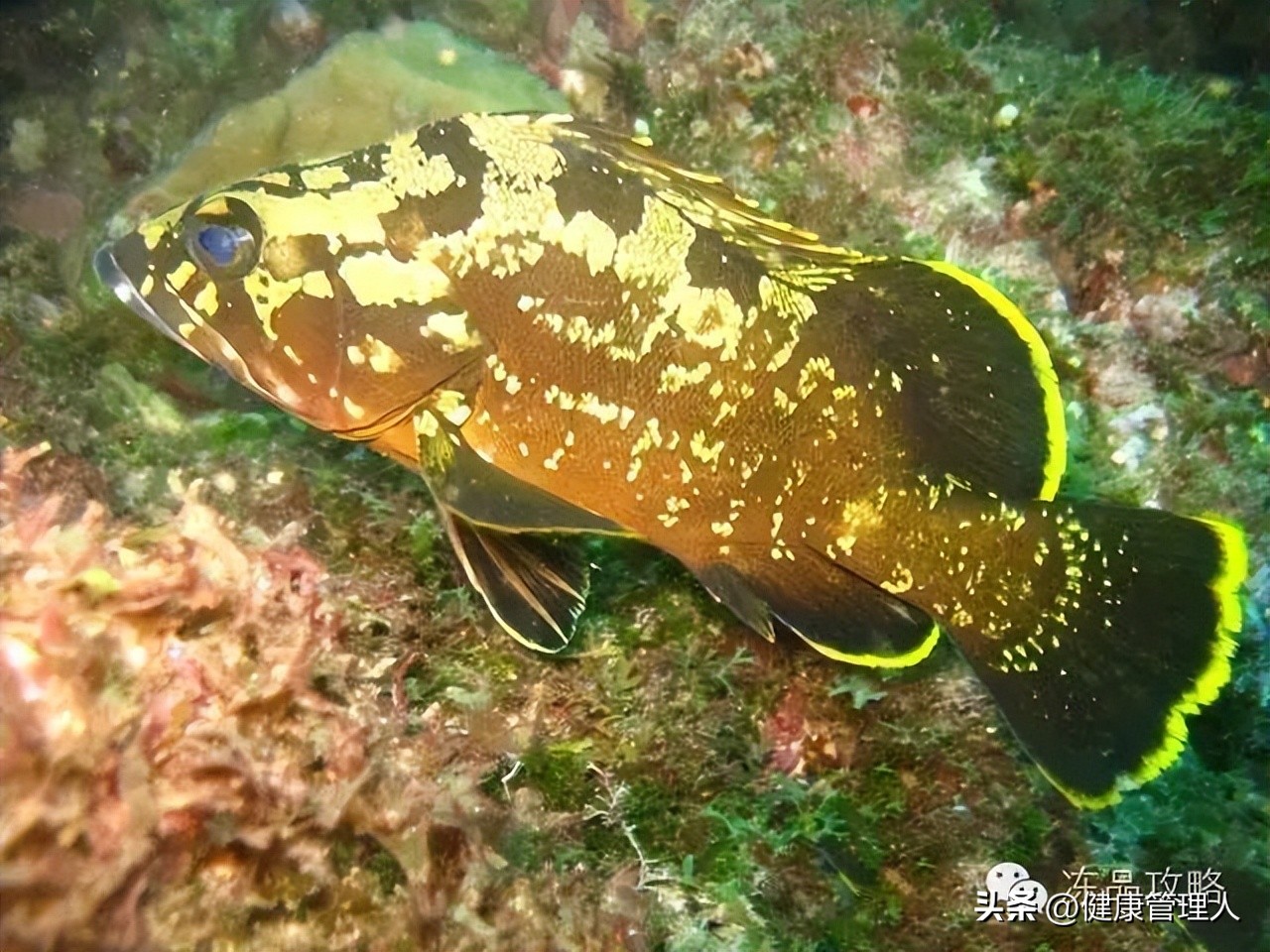 美容护肤食疗方案,美容护肤养生介绍