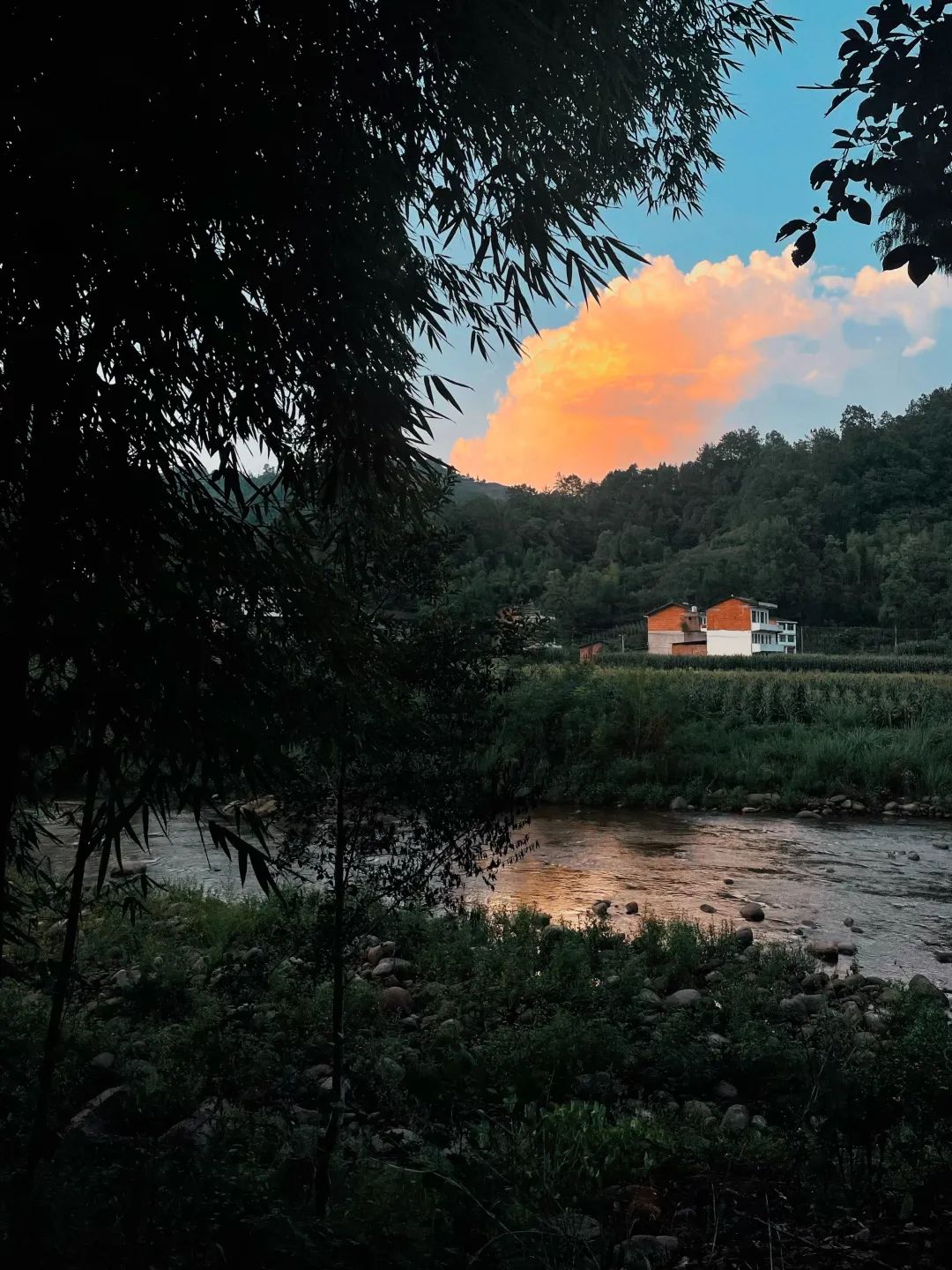 2022年这些瞬间温暖了我们,2022年的一切回顾