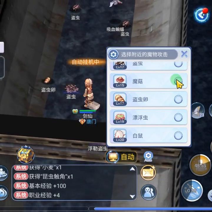 仙境传说ro技能介绍,仙境传说ro装备打造