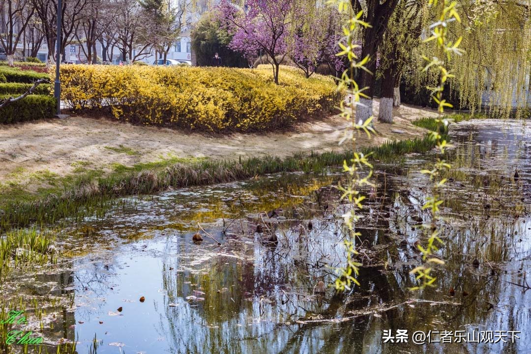 丧家的资本家乏走狗原文,丧家的资本家乏走狗指的是谁