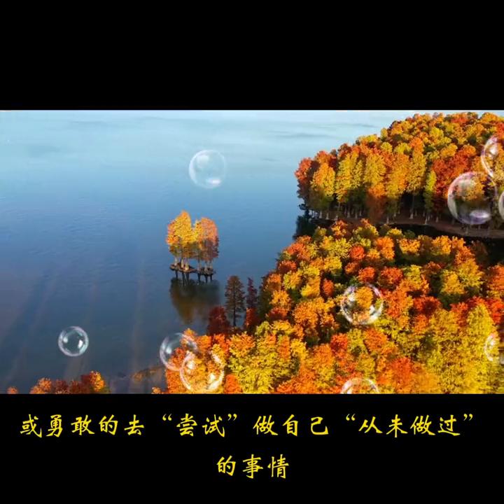 赚钱的逻辑全文阅读,赚钱的逻辑结构