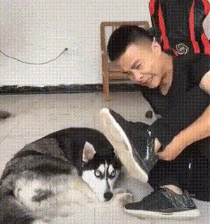 买新车适合发朋友圈的低调句子,朋友圈提新车评论