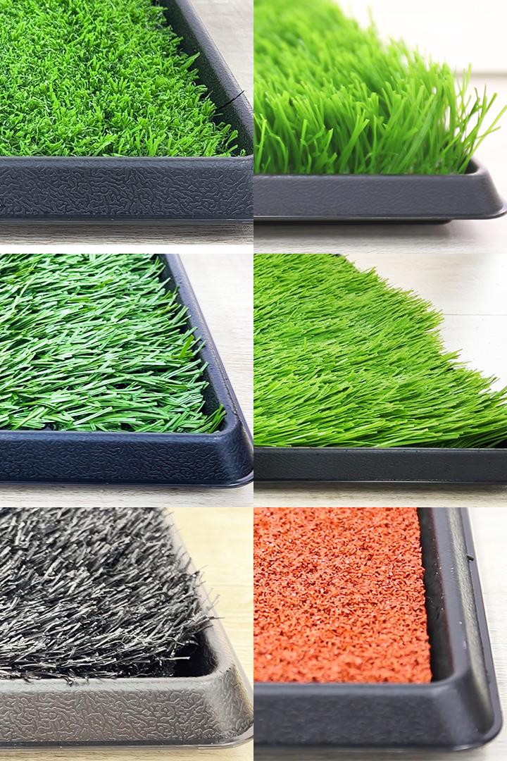 可以养小型宠物的植物盆,以诺宠物