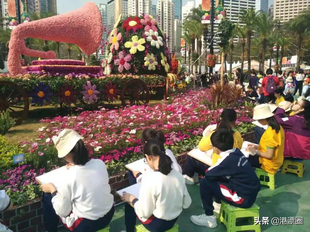 大陆小学生转学去香港需要什么,内地转学香港读小学