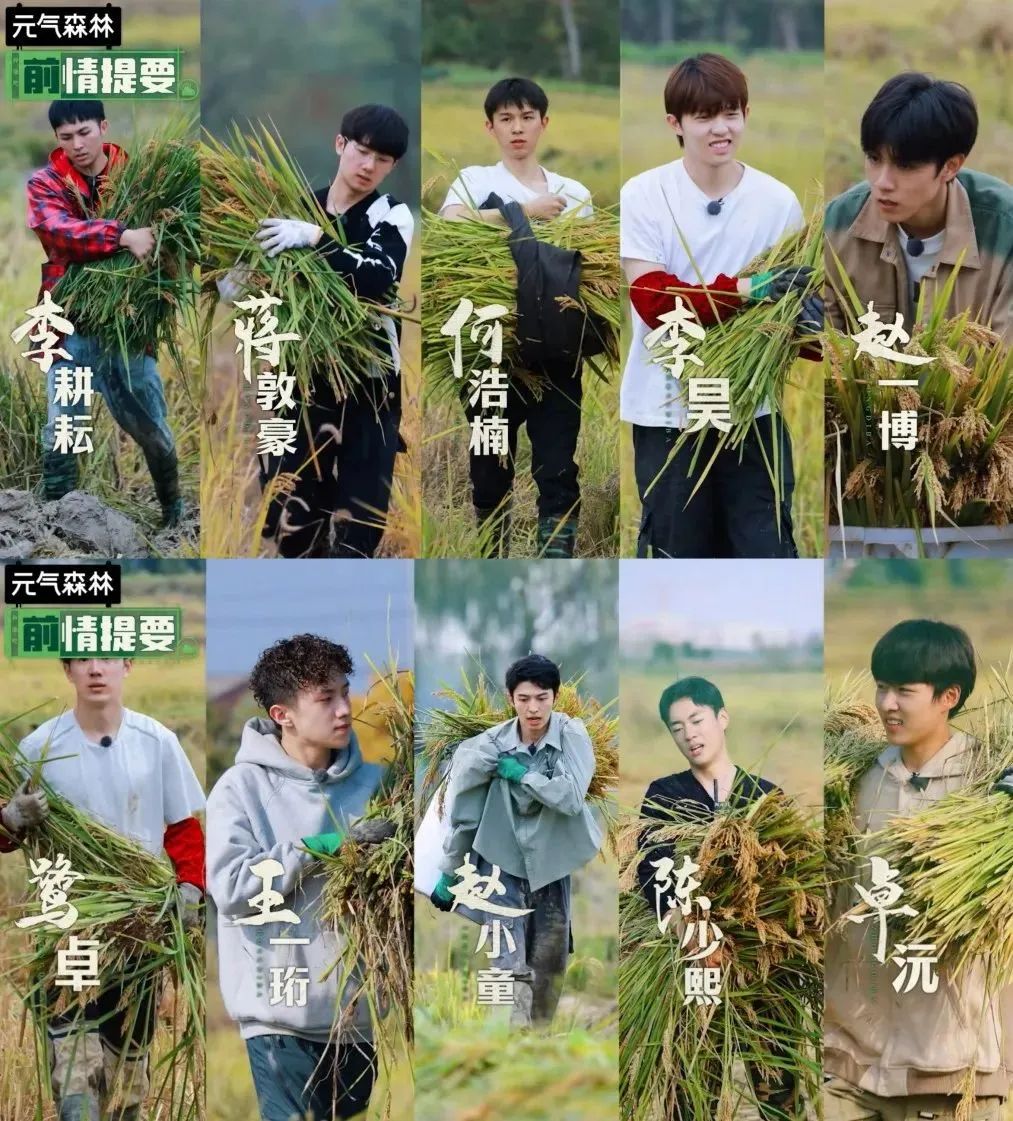 森系剧集与治愈综艺，“田园牧歌”如何击中观众的心？