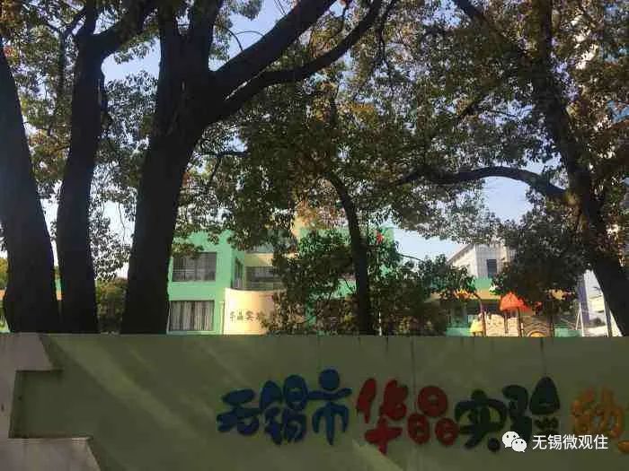 滨湖省府地块最新消息,楼市新政后滨湖区房价走势如何