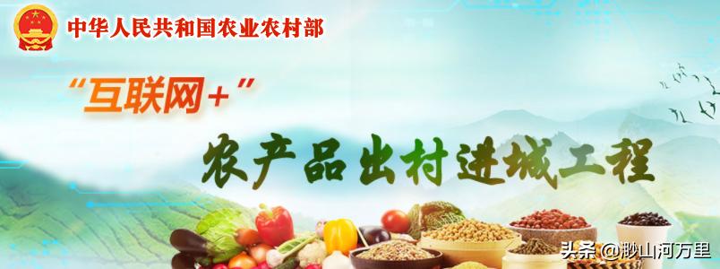 疫情后农村的创业机遇,后疫情时代对社会经济的思考