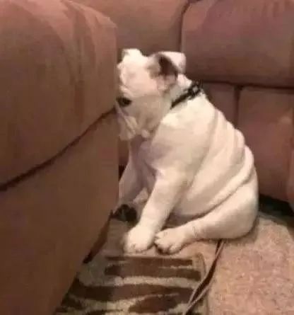 男朋友家穷父母不同意我们在一起,男朋友父母反对会不会突然同意