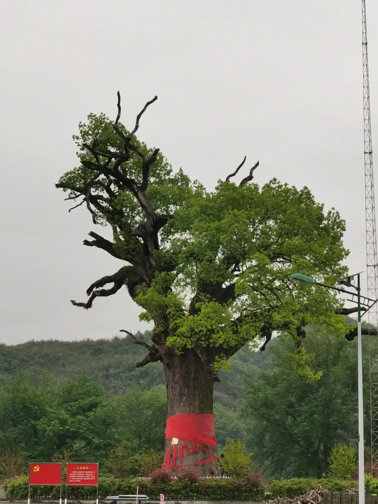 什么东西很贵但实际便宜,有哪些东西你以为很贵其实很便宜