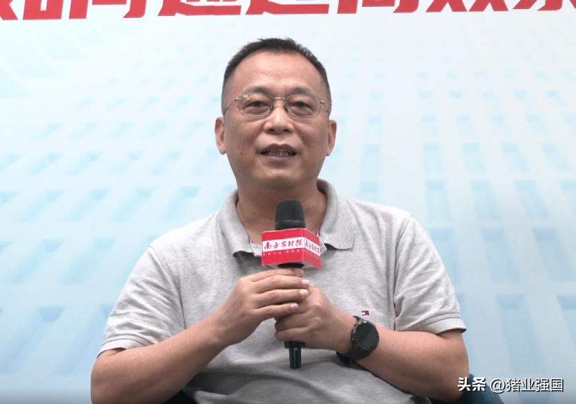 养猪技术及策略,猪场如何应对行情低迷