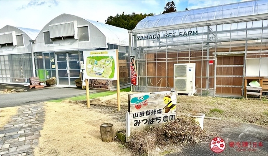 冈山津山,冈山区景点