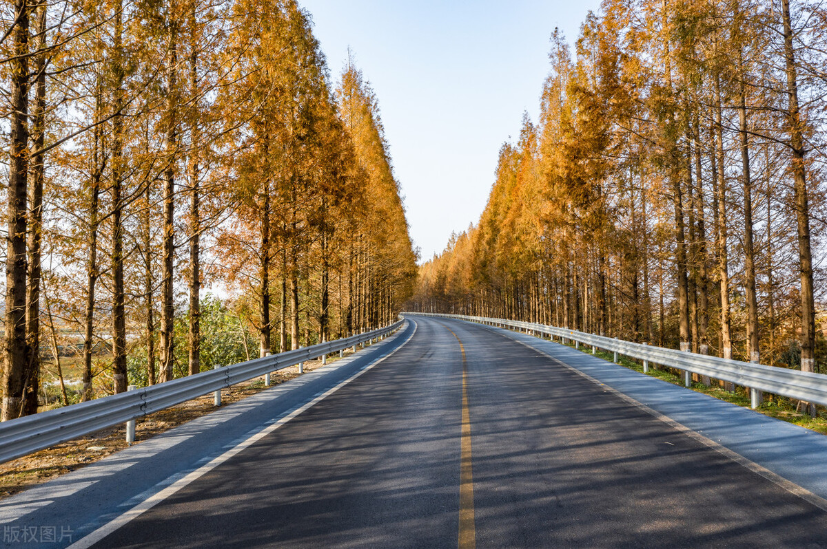 2022年武汉各区GDP排名,2025年湖北城市gdp排名预测