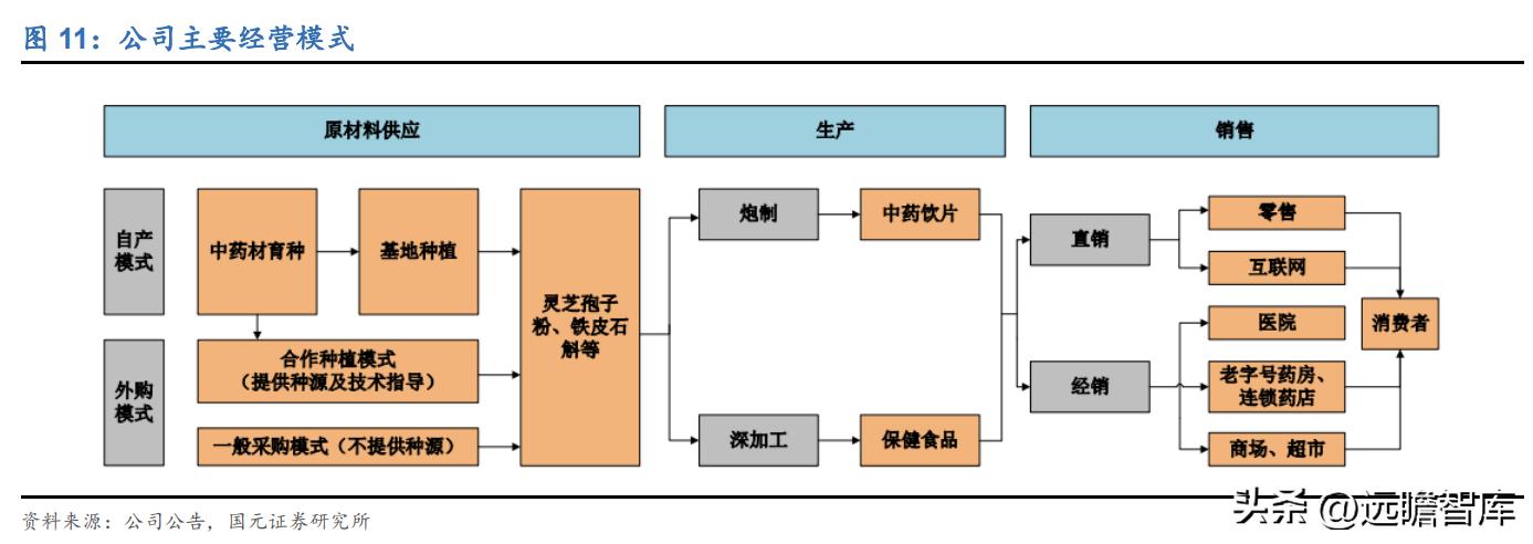 百年传承老字号，寿仙谷：领先技术芝斛养生，拓展渠道稳健增长