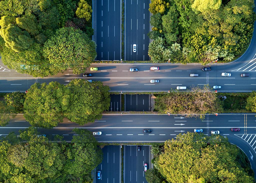 马来西亚安全还是新加坡安全,马来西亚是否安全