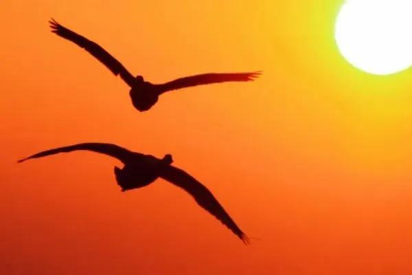 创业带来的好处和意义,创业意义和价值何在