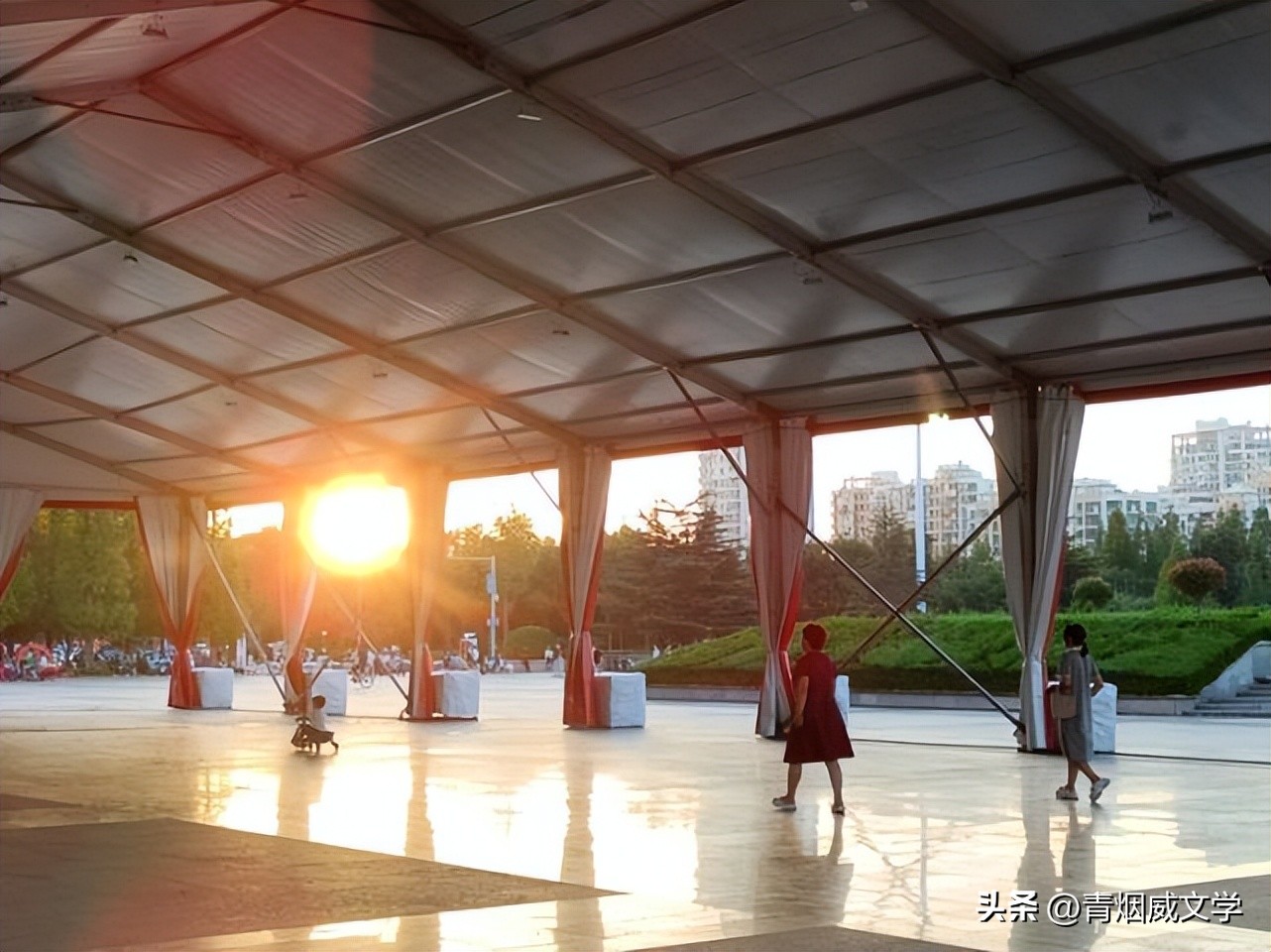 暮年感怀七律10首,七律32首精选夏夜