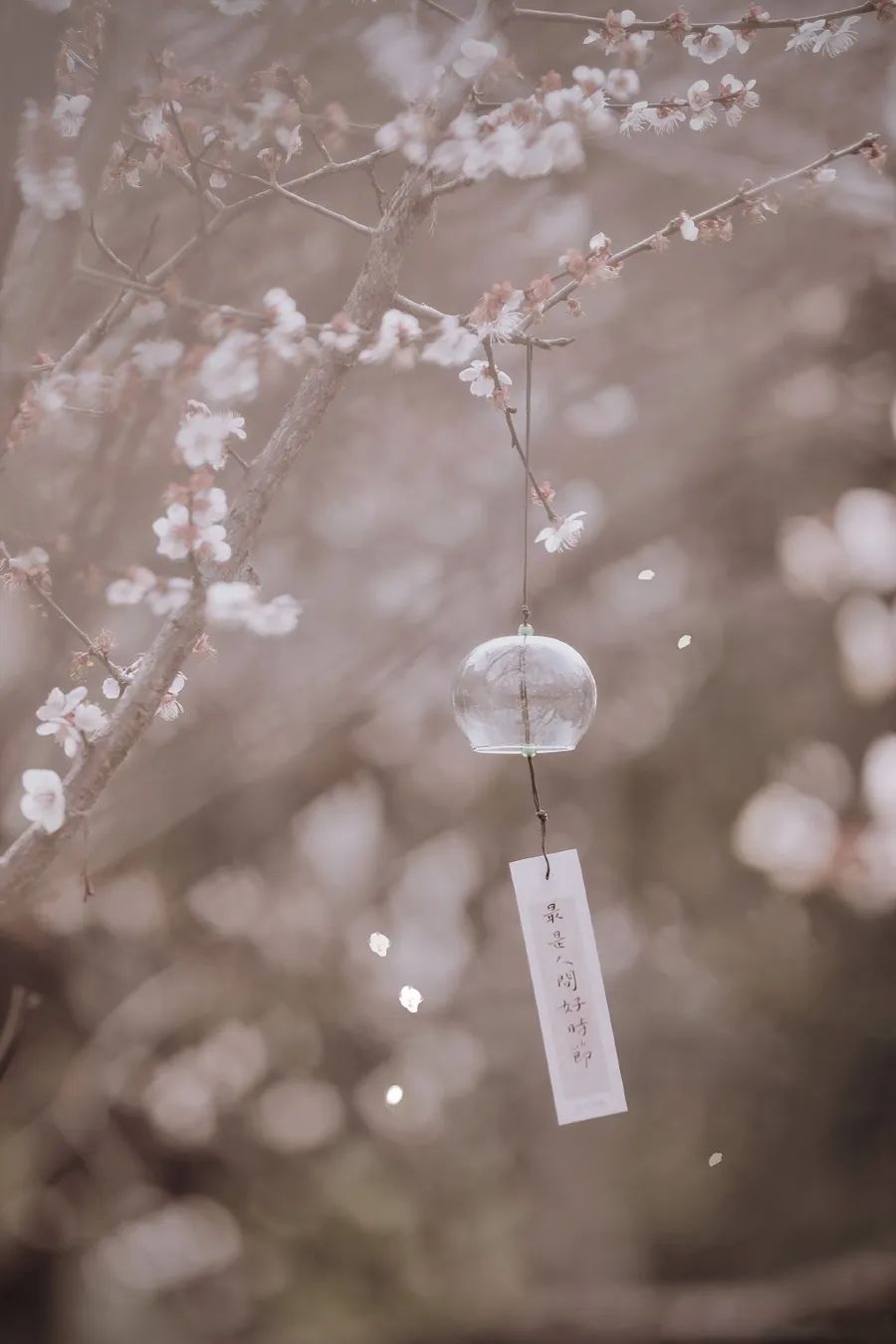 中国人对时间的雅称,中国人对时间的解读