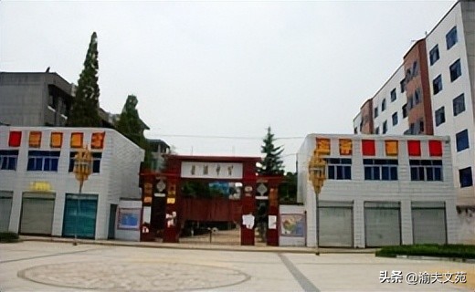 秋虫读后感50个字三年级,秋虫朗读