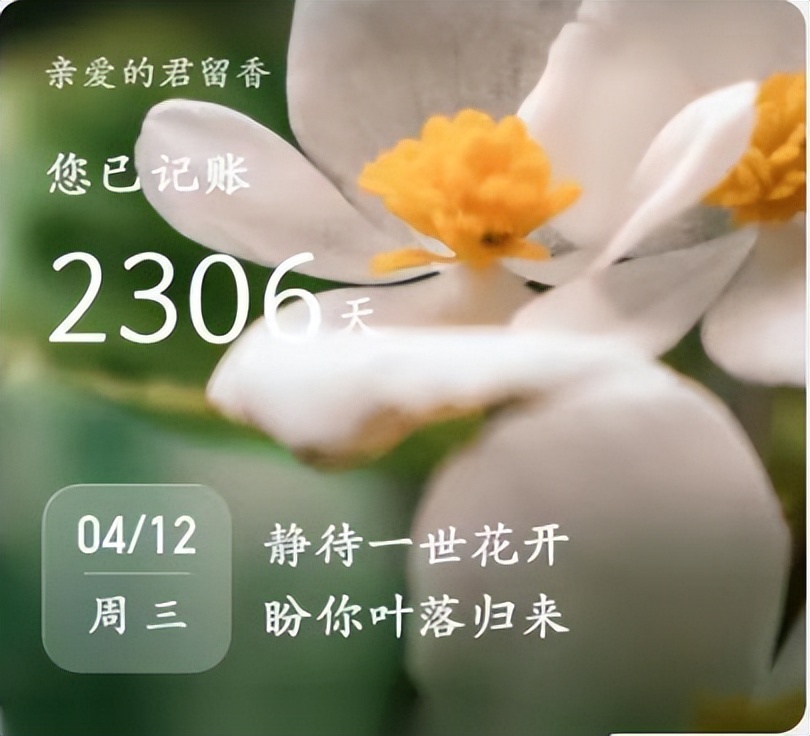 最好用的记账软件是哪个,最好用的记账软件