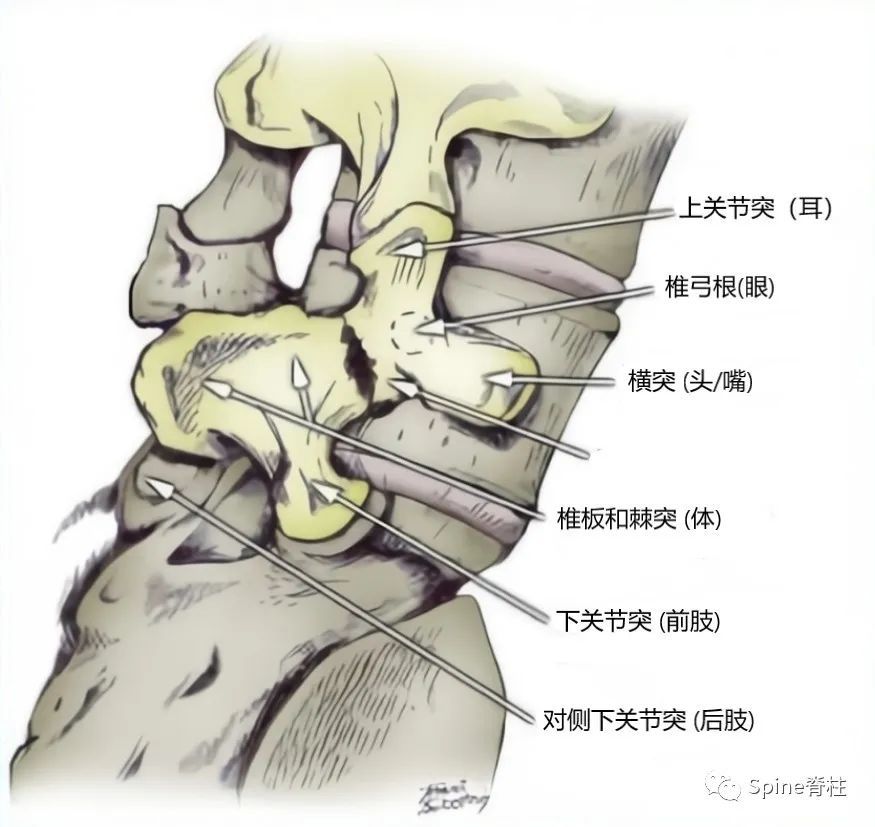 峡部裂和隐性峡部裂有区别吗,单纯峡部裂可以做峡部修复吗