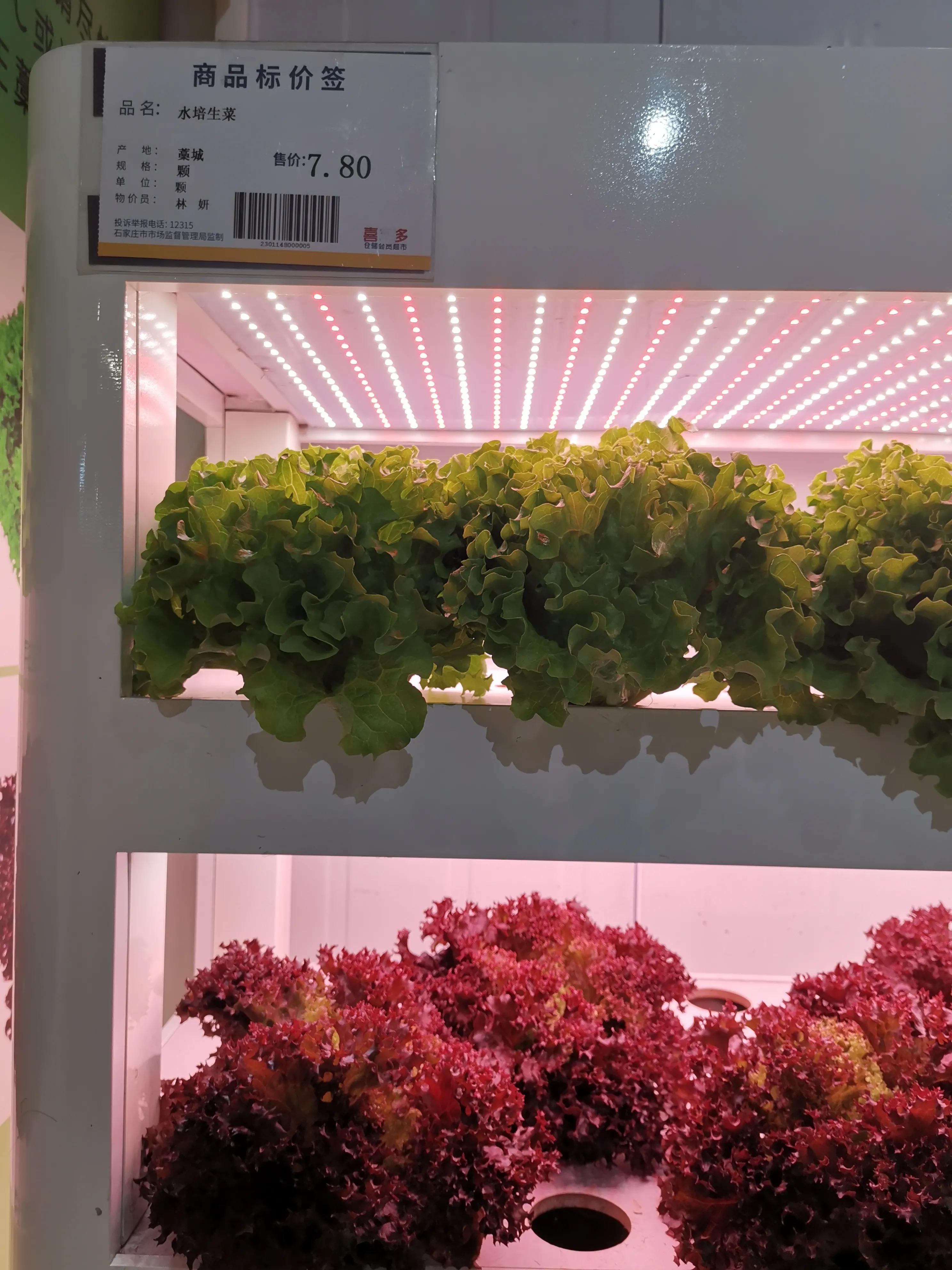 石家庄山姆超市 (石家庄跟山姆会员一样的超市)