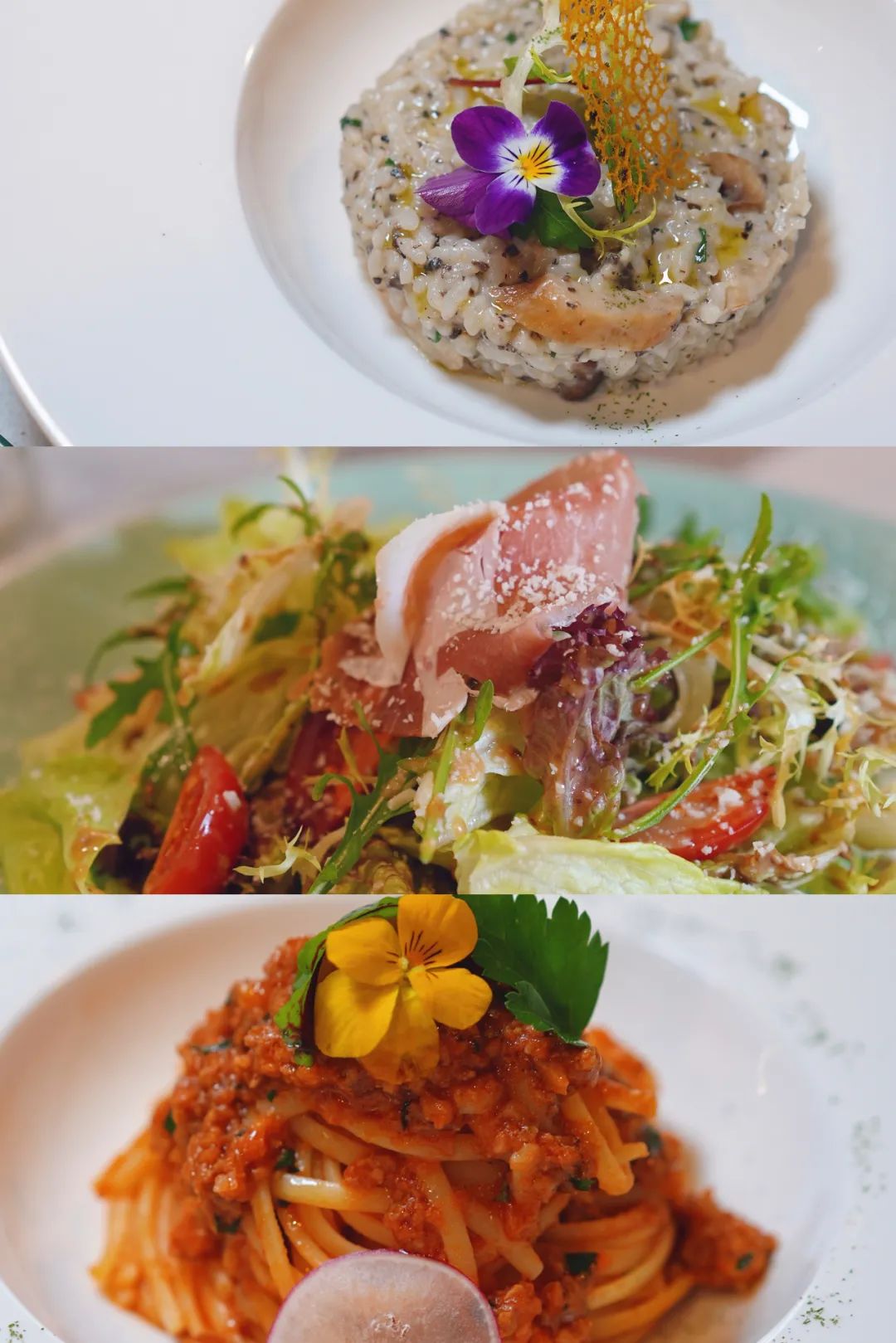 周庄古镇风景区打卡,周庄水乡小镇一日游