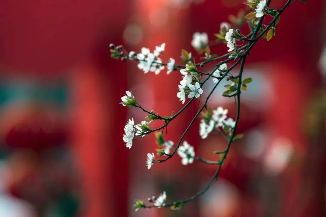 黑色背景高级感视频怎么拍,手机壁纸黑色系高级感