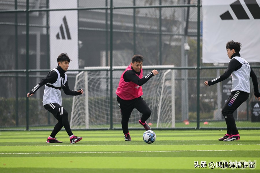 阿迪达斯predatoraccuracy2,阿迪达斯predatoraccuracy次高端