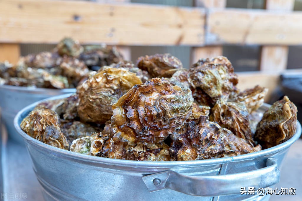 胆囊癌症晚期吃不下饭能活多久,肺癌症晚期吃不下饭还能活多久