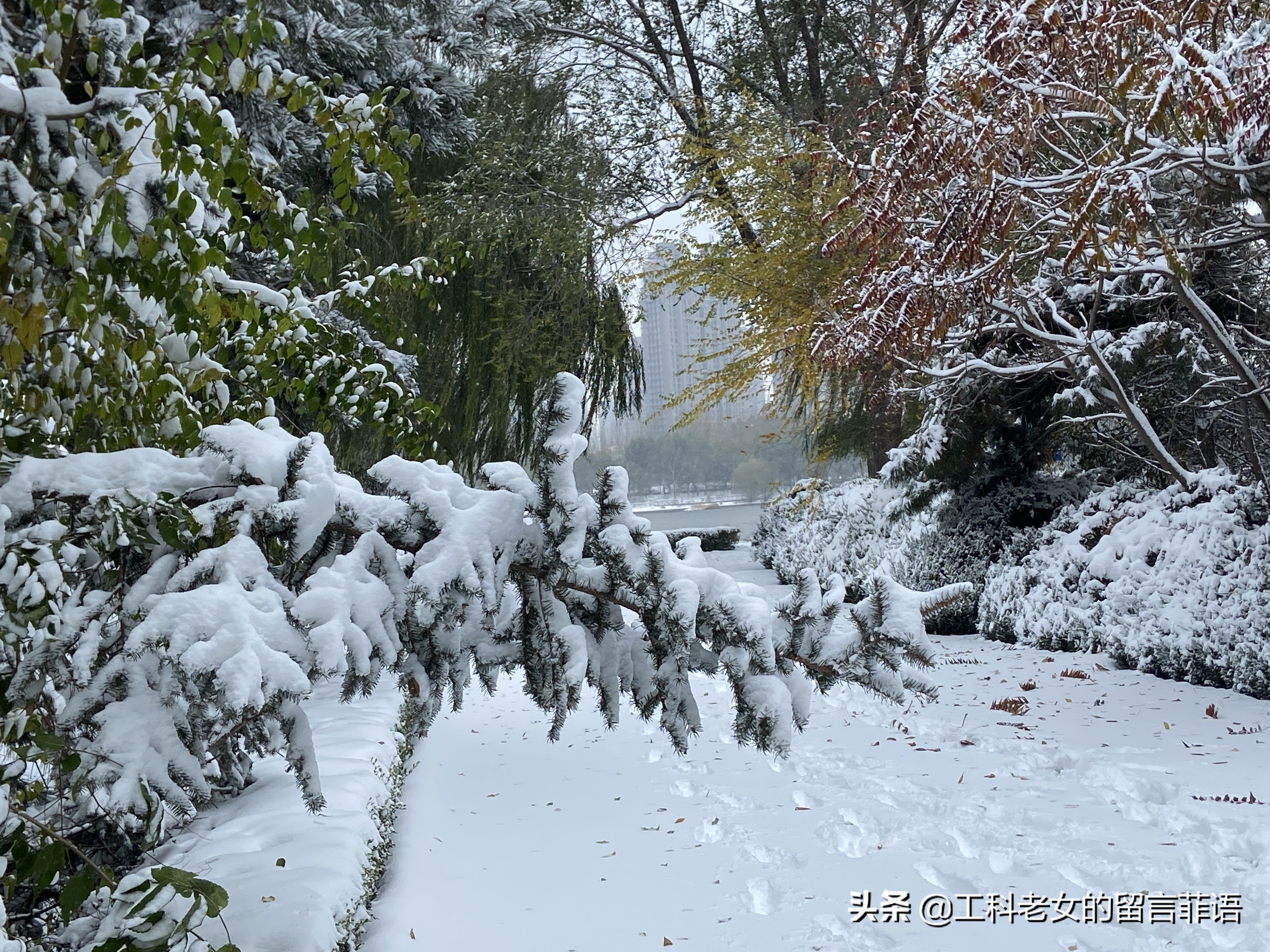 沈阳大雪压塌停车场,沈阳大雪堆雪人