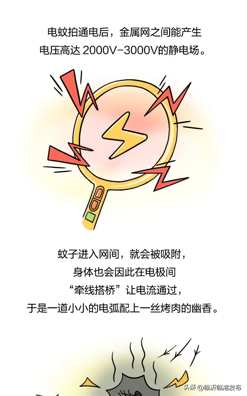 为什么不将蚊子赶尽杀绝,彻底绝杀蚊子的妙招