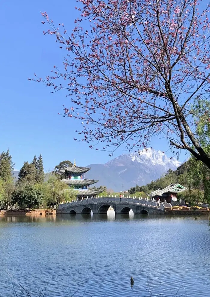 云南昆明旅游攻略自由行攻略,云南旅游自由行攻略昆明大理丽江