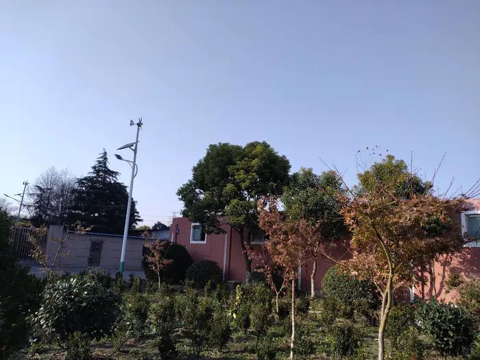 画与景,幼儿长卷画景