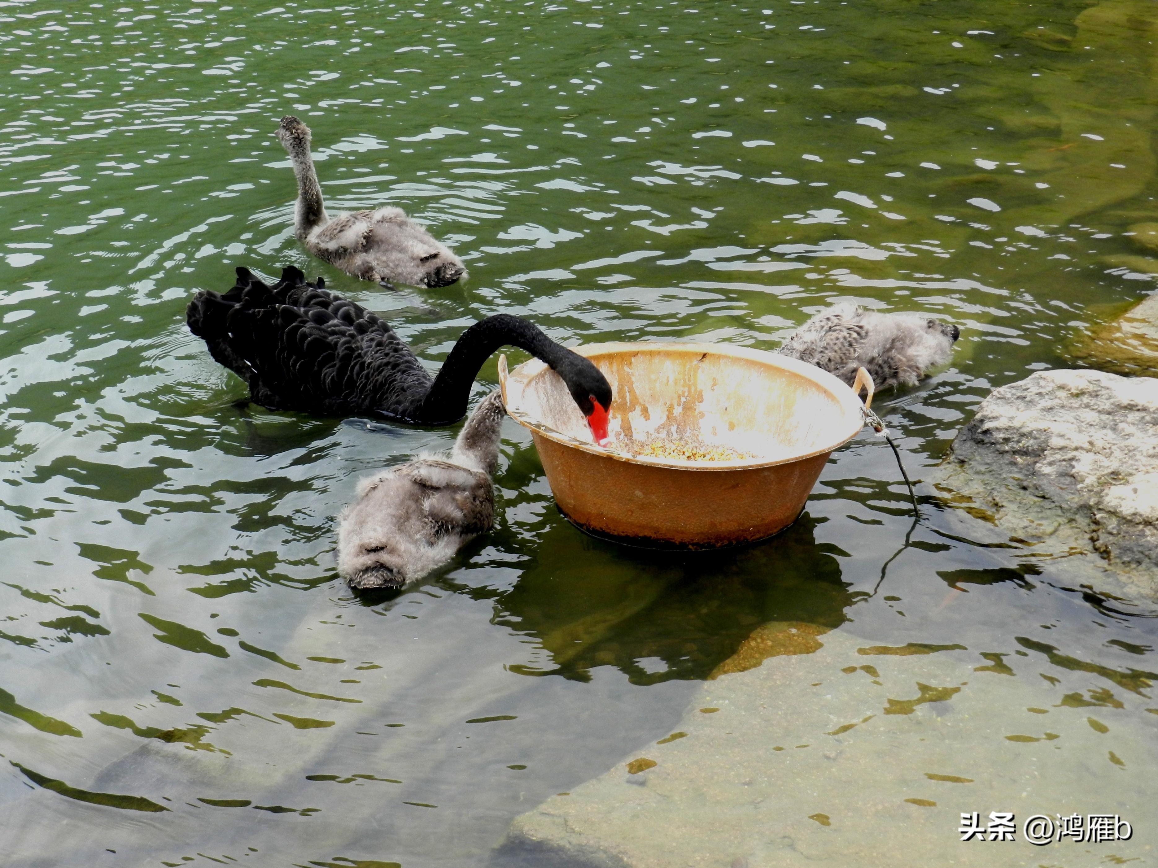 本溪温泉汤沟门票价格,本溪花溪沐枫雪温泉小镇