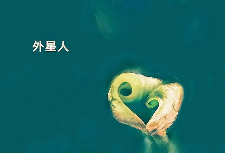 秋天怎么拍出好看的照片,秋天怎么拍出最好的照片