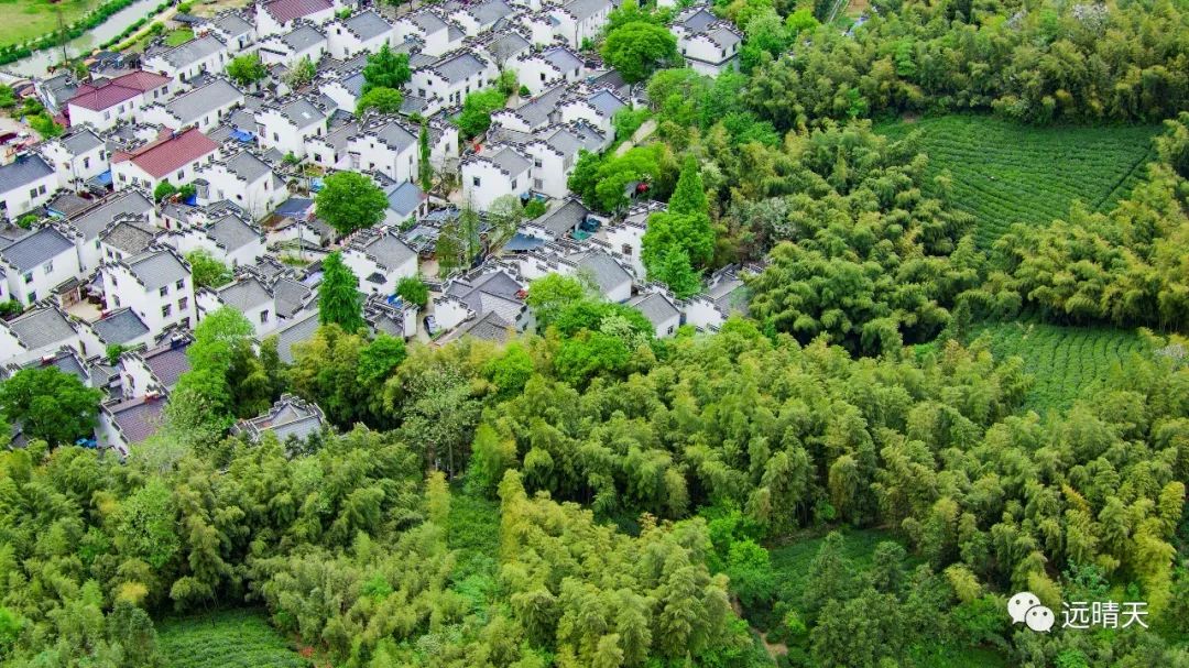 最美江宁四月天,我们只谈春暖花开,诗词歌赋,不聊红尘俗世