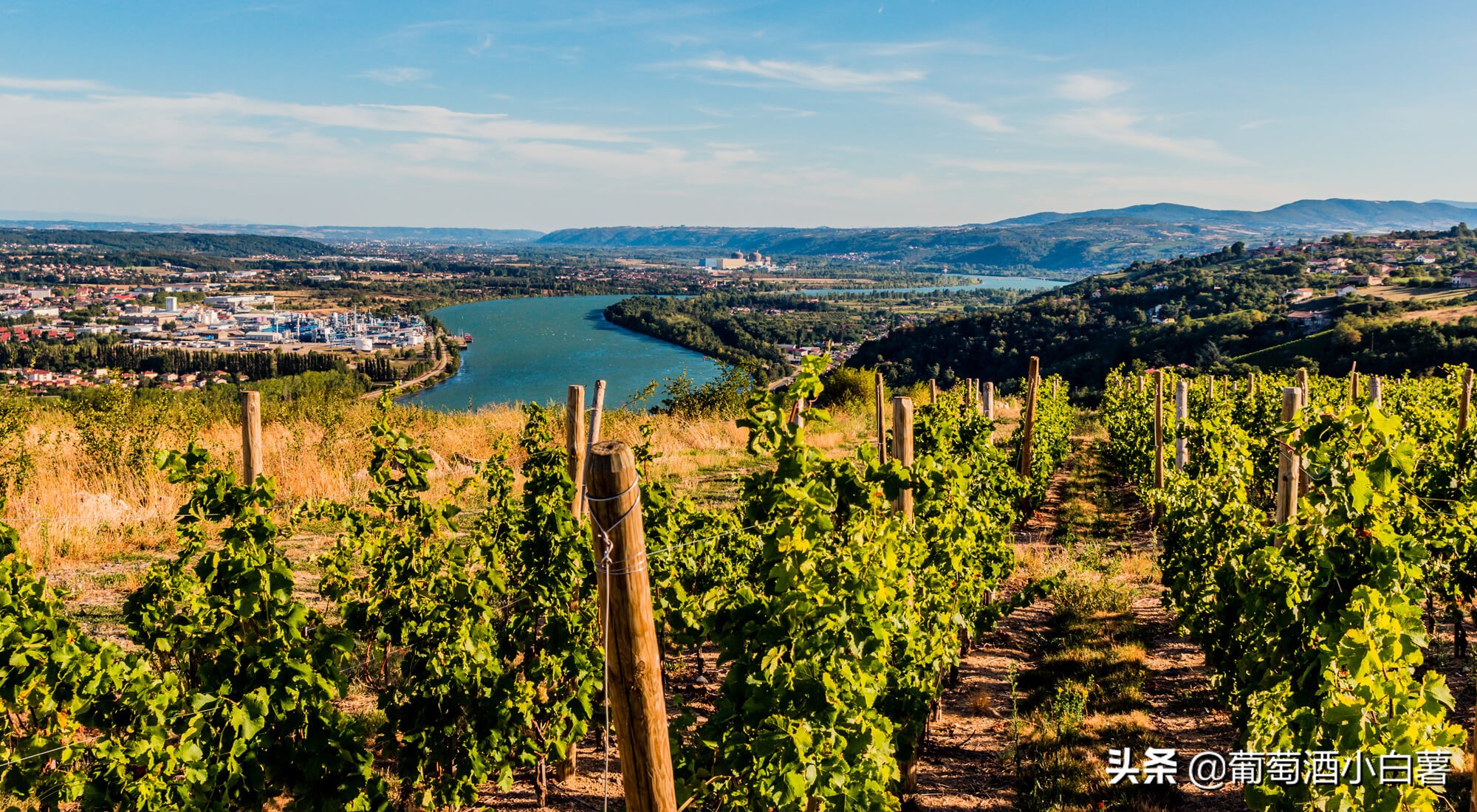 法国红酒罗纳河谷,法国罗纳河谷产区的红葡萄酒