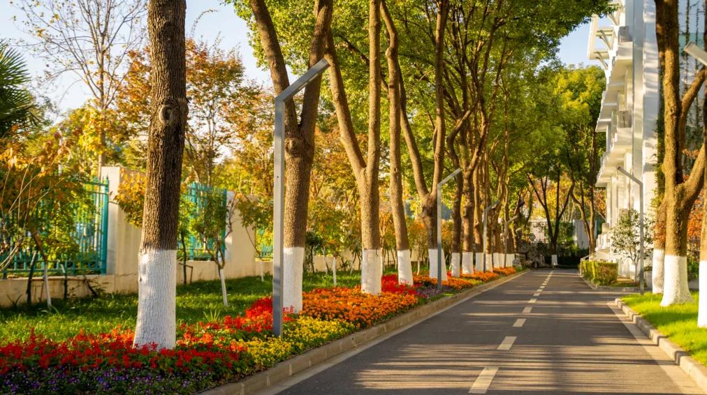 鏍″洯鍗拌薄2019,鏍″洯鍗拌薄瀹屾暣瑙嗛