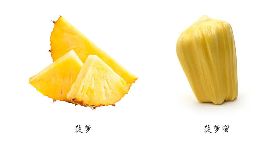 凤梨和菠萝的区别视频,菠萝凤梨是一个东西吗