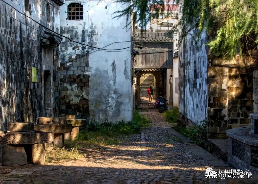 海阔凭鱼跃，天高任鸟飞---九州摄影浙江俱乐部优秀作品展