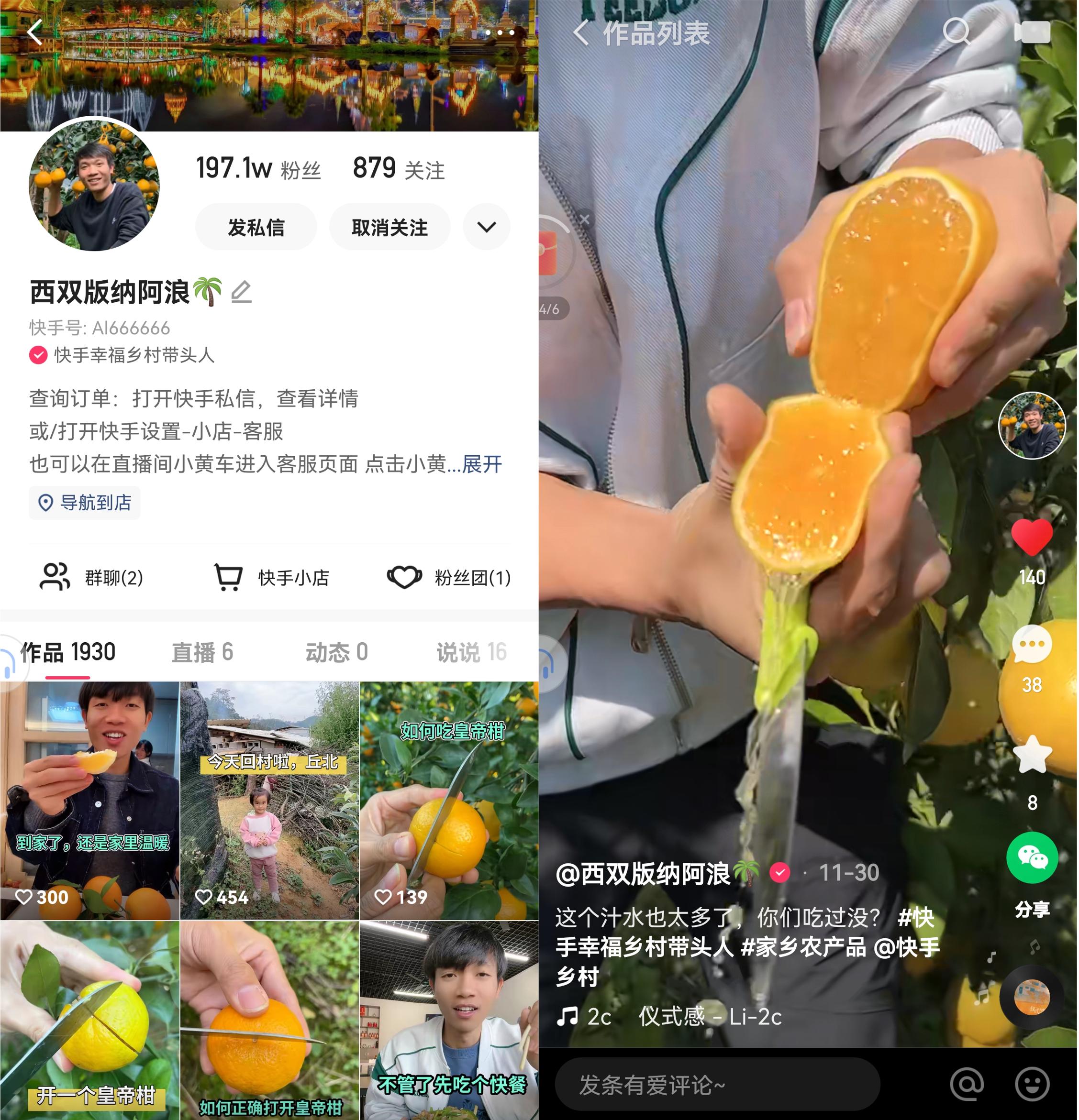 快手的三农扶持项目有哪些,在农村也能年入百万的项目