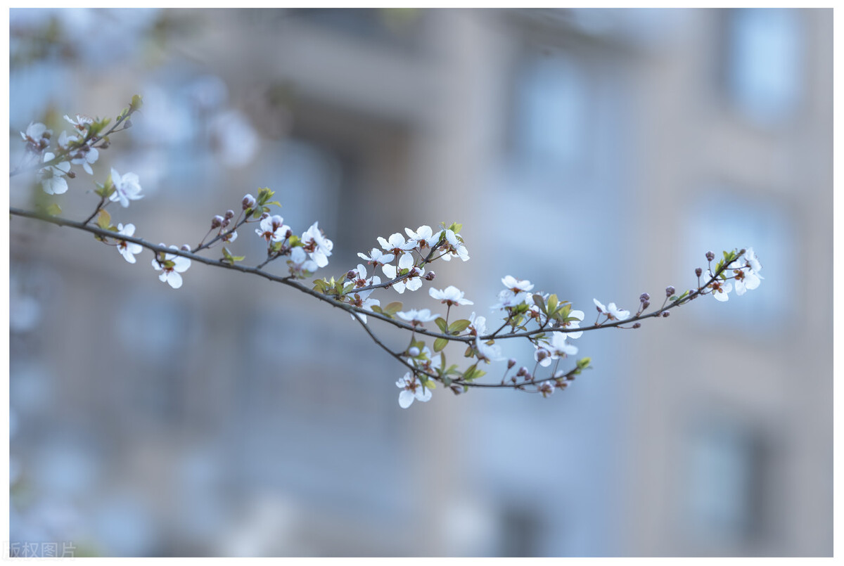 退休后想找一个打发时间的工作,退休后简单生活余生才能淡然从容