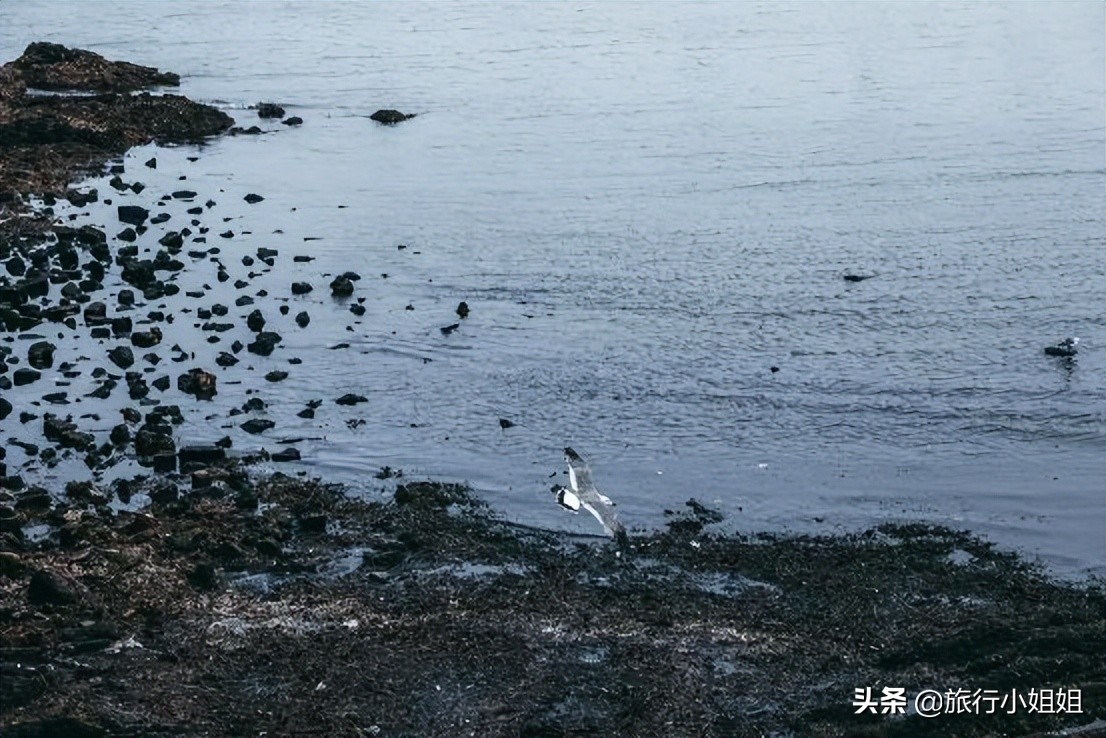 夏日海边浪漫迷人,滨城风光秀丽浪漫气息爆表