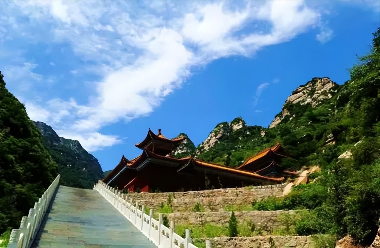 享受阳光享受大自然天然氧吧,值得一去的天然森林氧吧