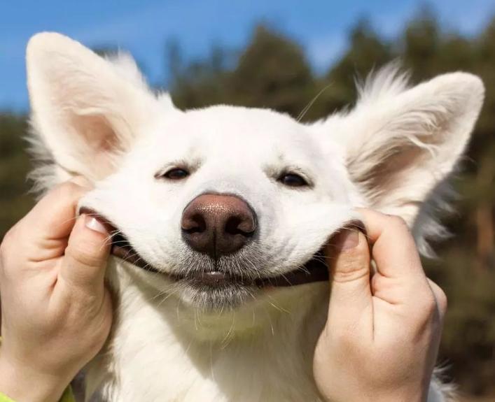 为什么电脑打印出来的是乱码,为什么电脑打印文件出现乱码