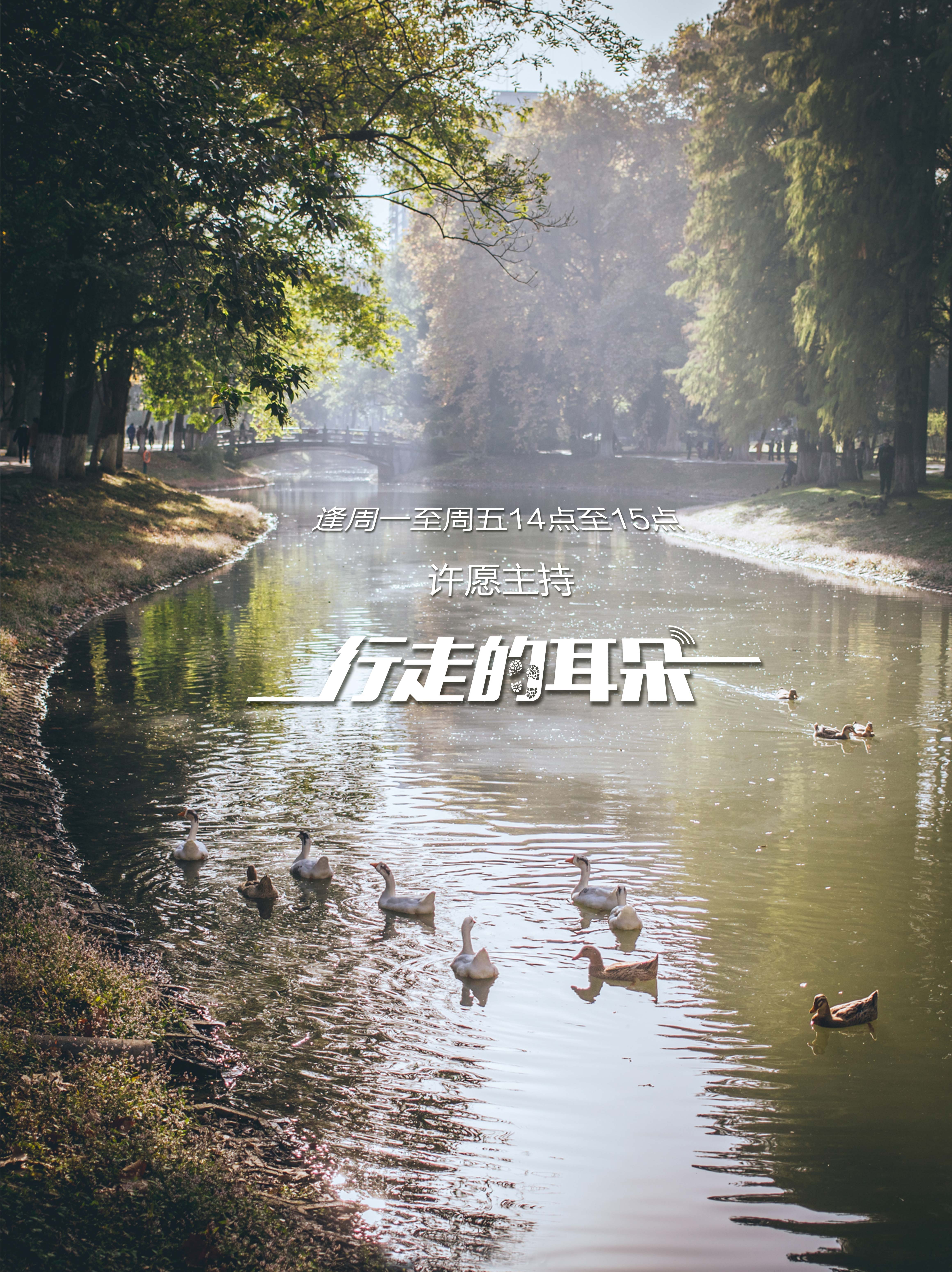 知音号打卡,武汉知音号元宵节